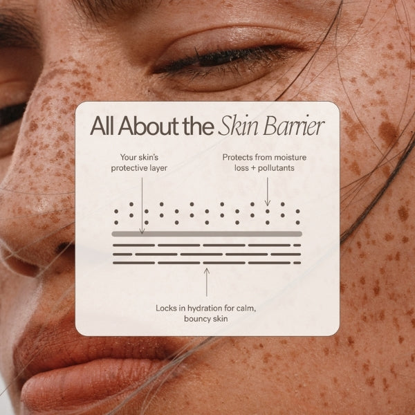 Barrier Build Skin Protectant Cream